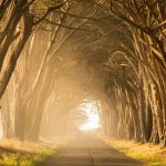 Chemin clair